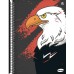 CADERNO PEQUENO ESPIRAL CAPA DURA 96FLS KBOM MASCULINO - ANIMATIVA 